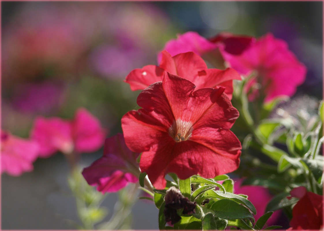 ������� ����� ������  �� PhotoGeek.ru #������ ��� �������