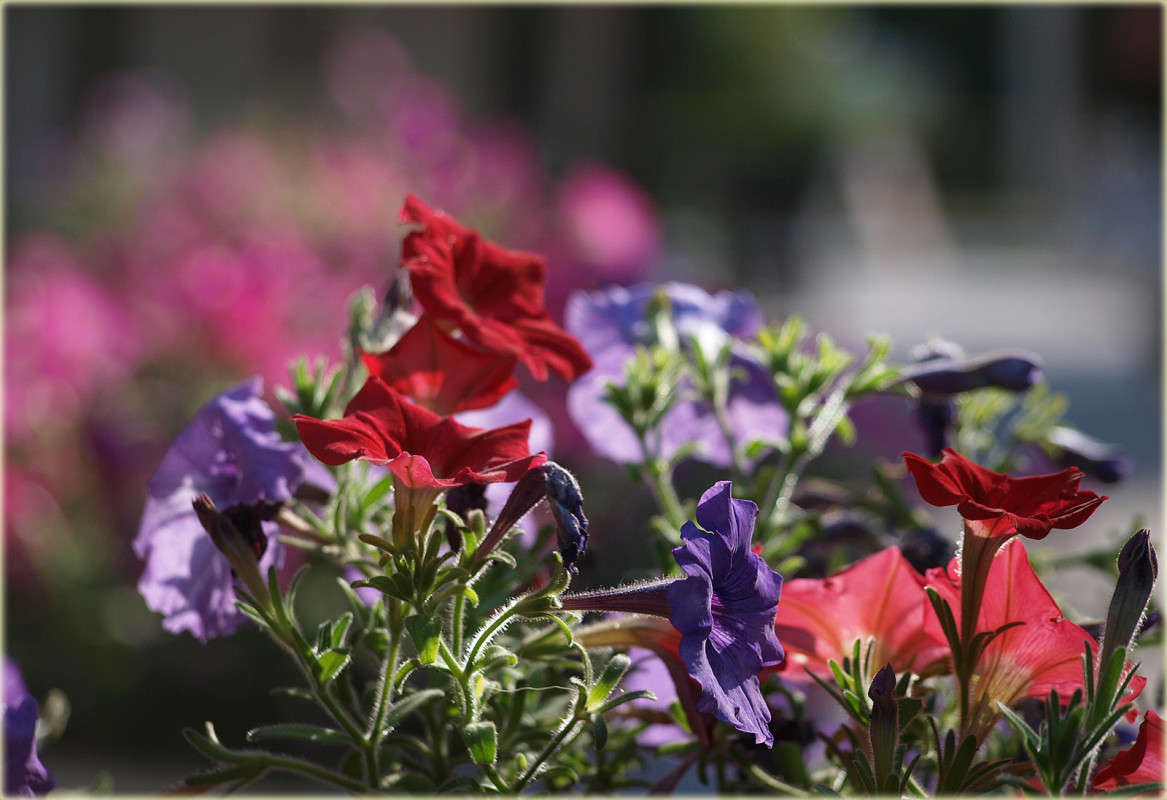 ������� 2 ����� ������  �� PhotoGeek.ru #������ ��� �������