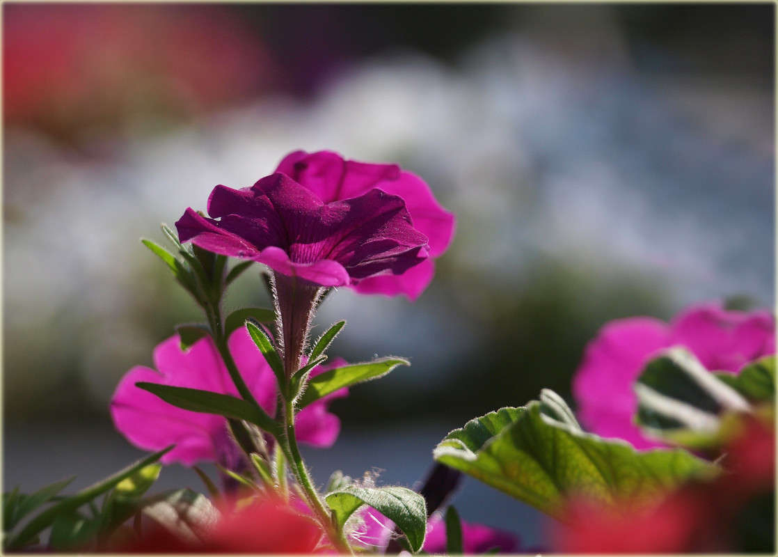 ������� 3 ����� ������  �� PhotoGeek.ru #������ ��� �������