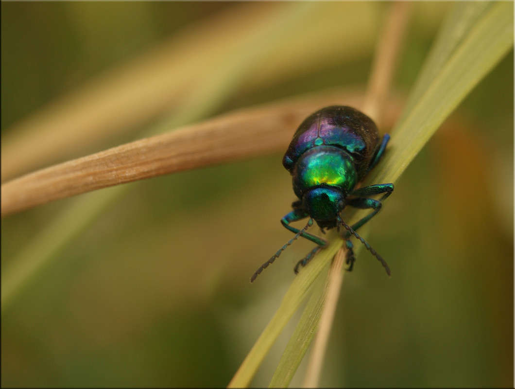 ���������� �� ��� ����� ������  �� PhotoGeek.ru #�����