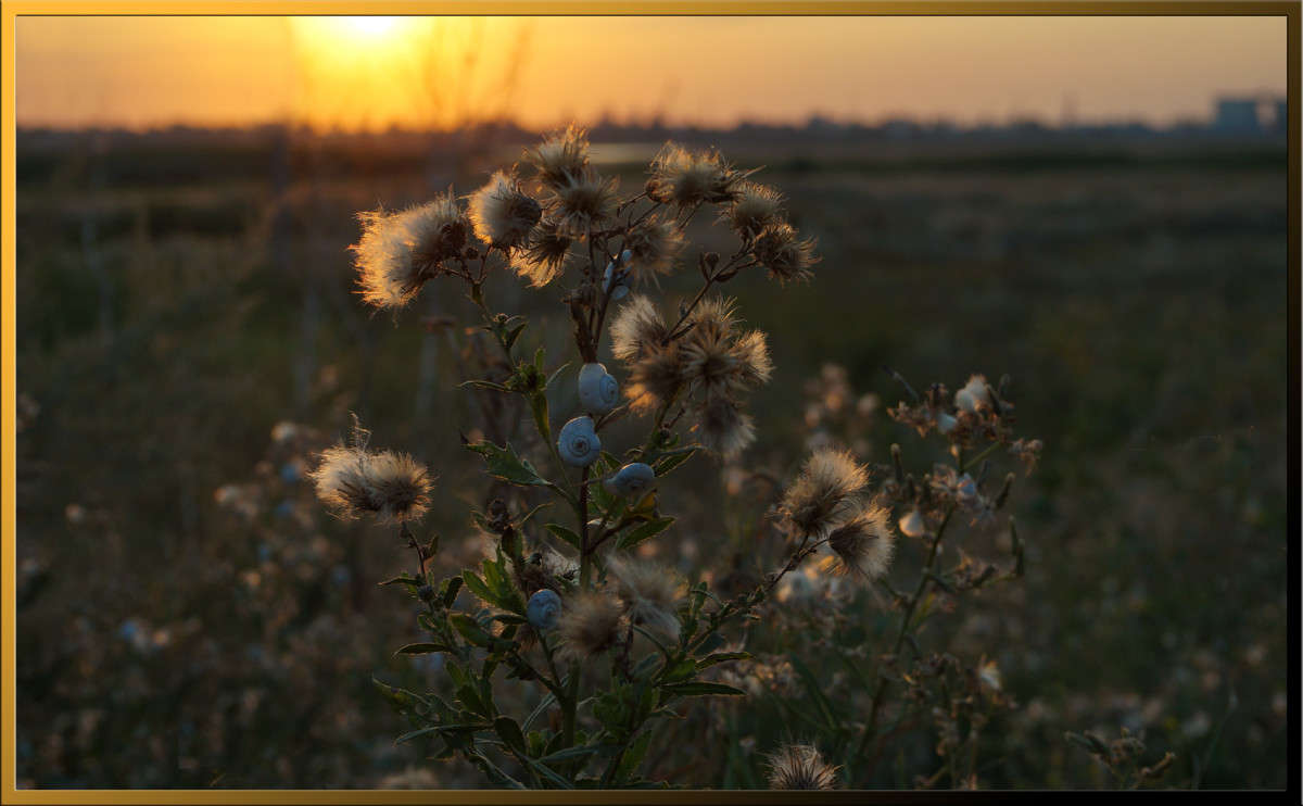 ... ����� ������  �� PhotoGeek.ru #������ ��� �������