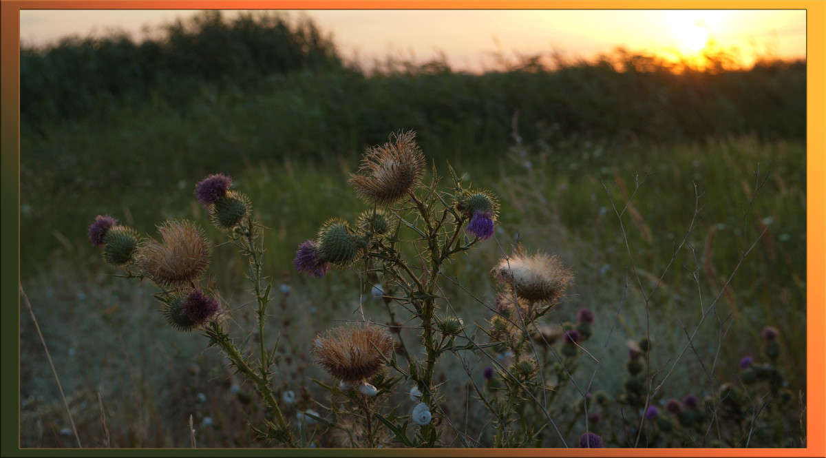 ����� � ���� ��� 3 ����� ������  �� PhotoGeek.ru #������ ��� �������