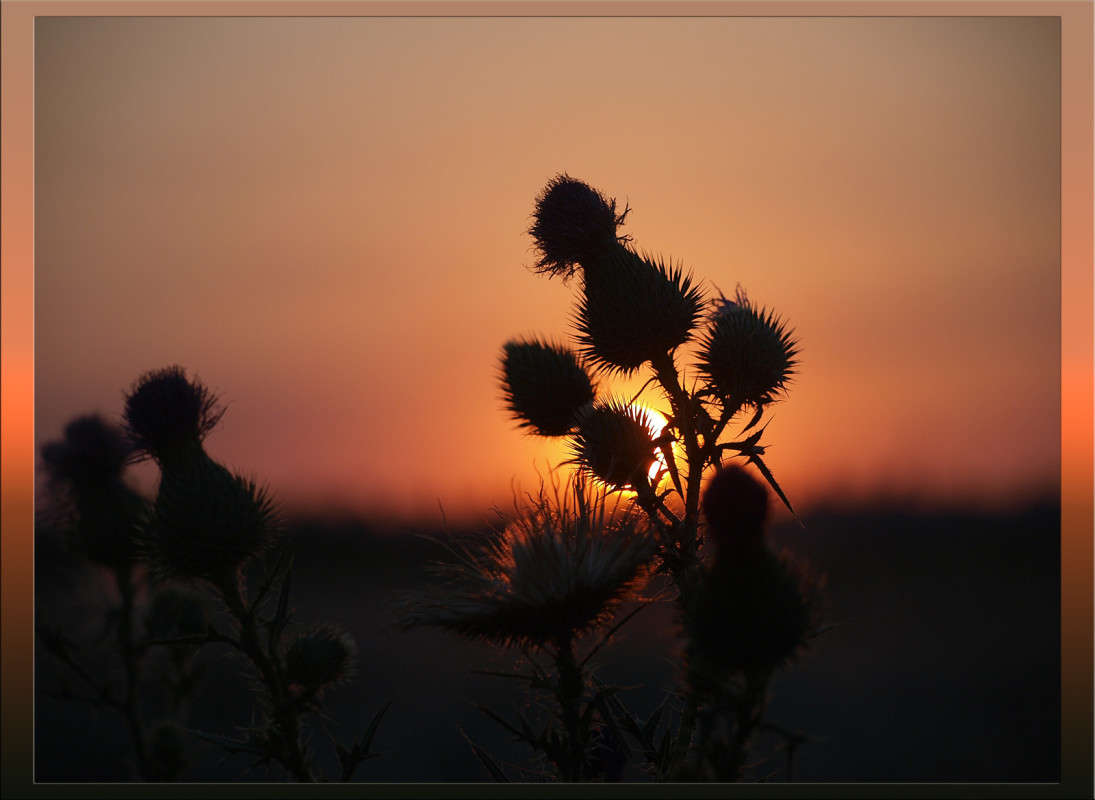 ����� � ���� ��� 4 ����� ������  �� PhotoGeek.ru #������ ��� �������