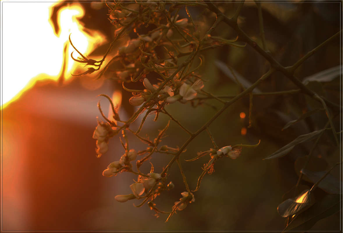 ������ ������� ����� ������  �� PhotoGeek.ru #������ ��� �������