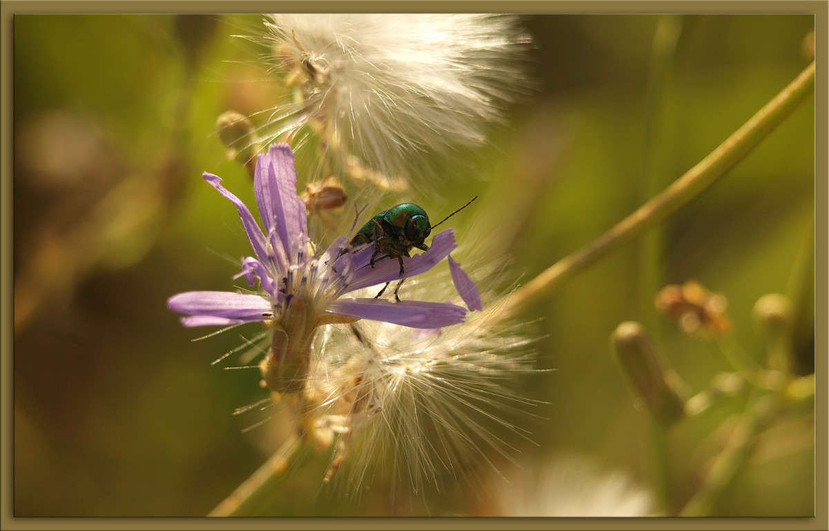 ������ ����� ������  �� PhotoGeek.ru #����� #�������� ���