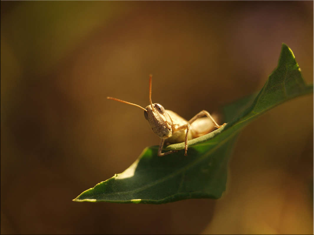 ��� ��� ������� ����� ������  �� PhotoGeek.ru #�����