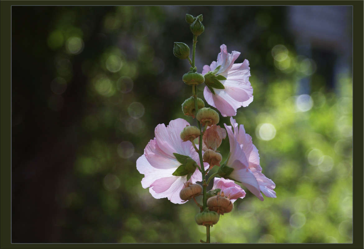 ������ 2,1 ����� ����� ������  �� PhotoGeek.ru #������ ��� �������