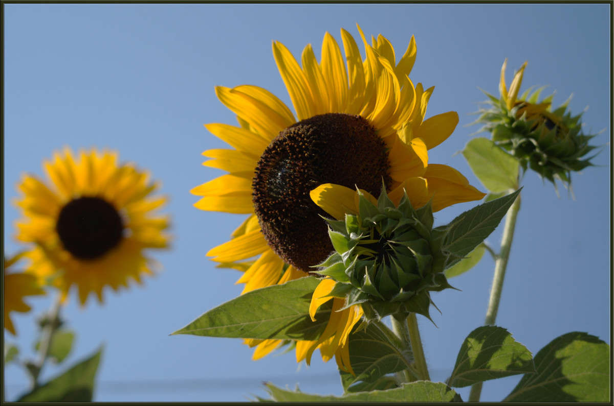 ���������� 2 ����� ������  �� PhotoGeek.ru #������ ��� �������