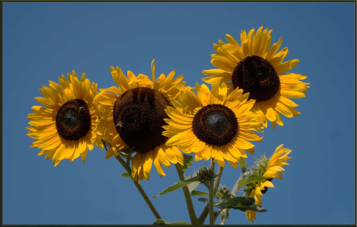 ���������� 3 ����� ������  �� PhotoGeek.ru #������ ��� �������