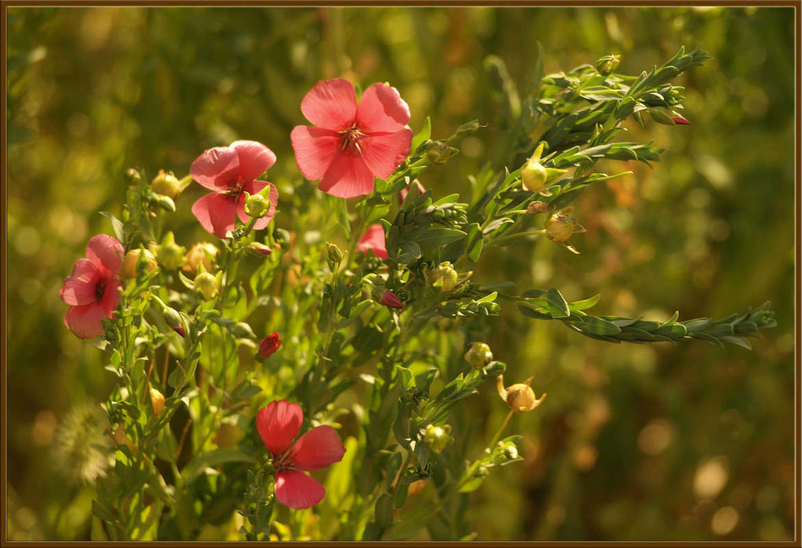 ��������� ���� 10 ����� ������  �� PhotoGeek.ru #������ ��� �������
