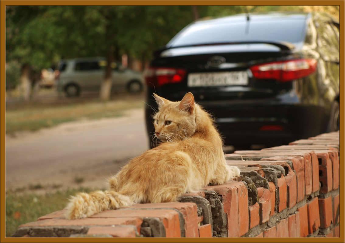 ������������� ��� ����� ������  �� PhotoGeek.ru #�������� ���