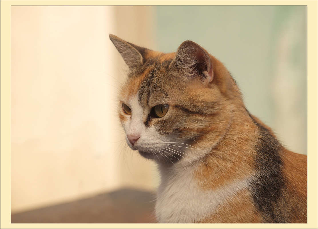 ������ �21 ����� ������  �� PhotoGeek.ru #�������� ���