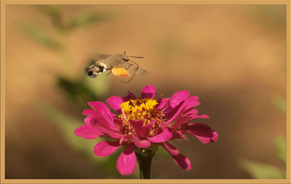 ������ �������� ����� ������  �� PhotoGeek.ru #�������� ���