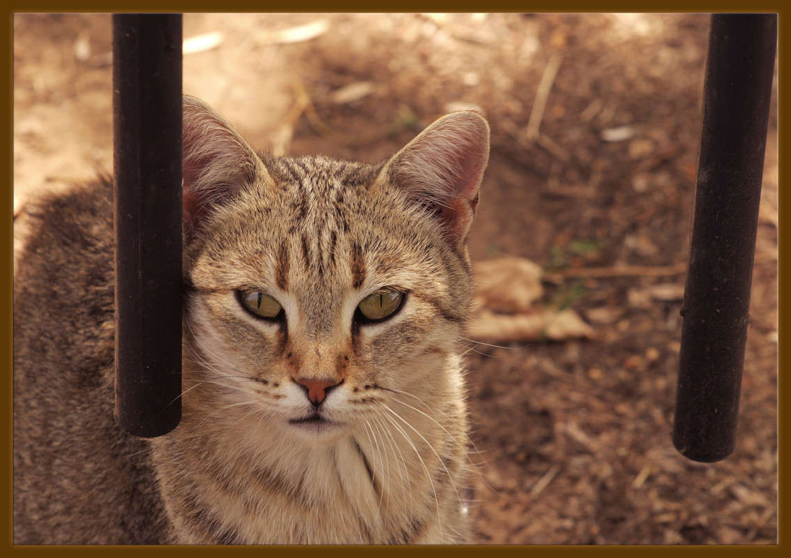 �� ������� ����� ������  �� PhotoGeek.ru #�������� ���