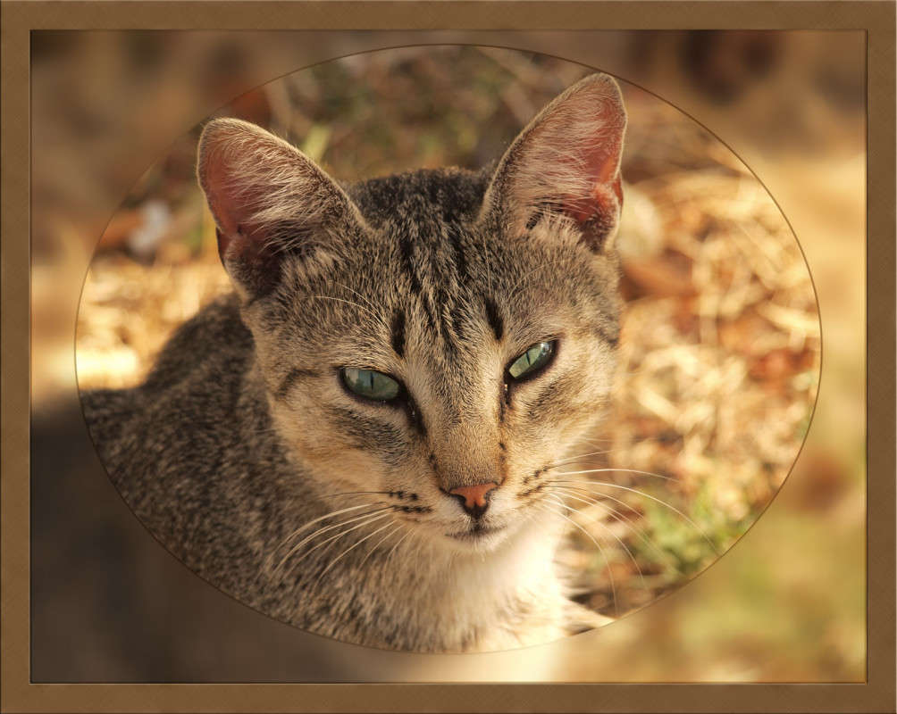 ������ �22 ����� ����� ������  �� PhotoGeek.ru #�������� ���