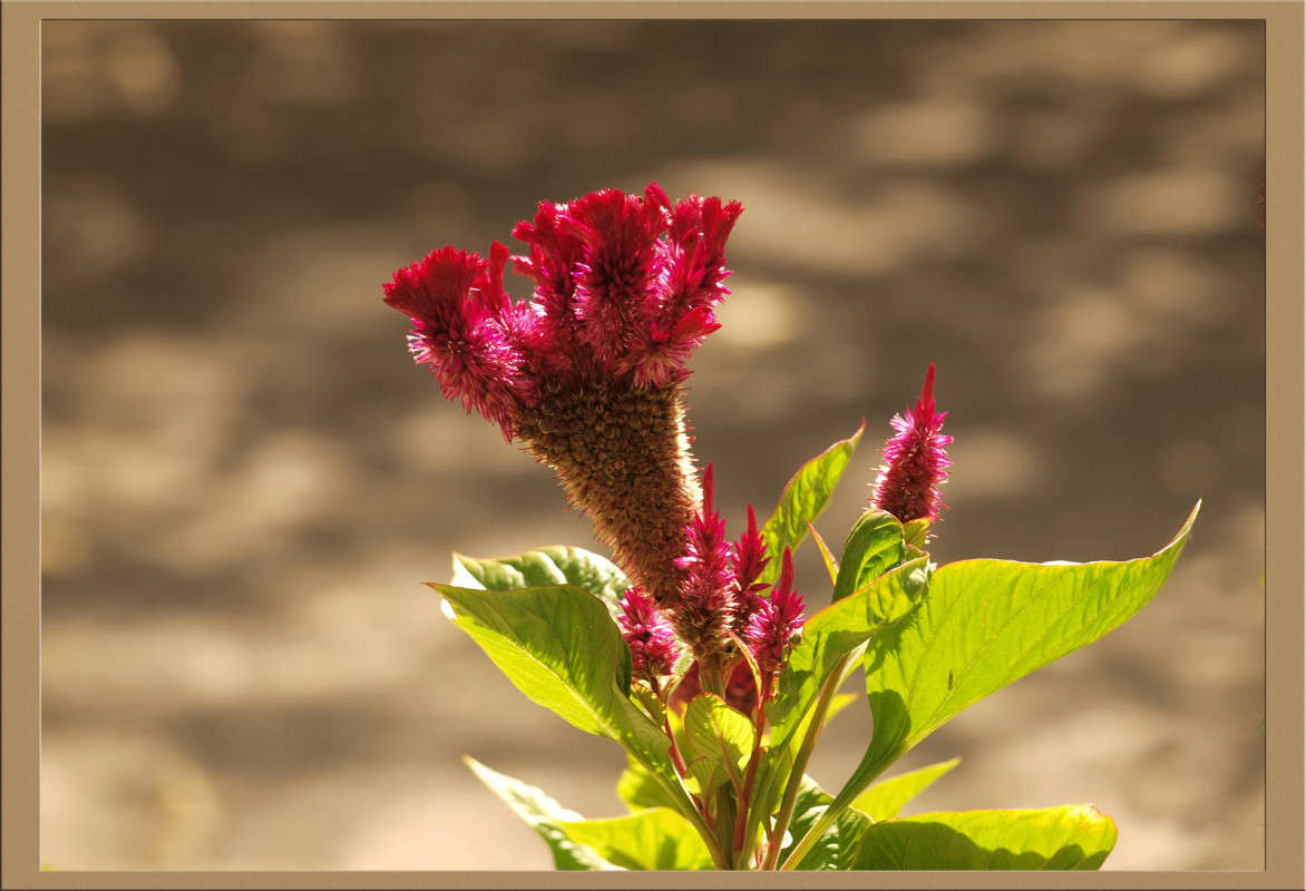 � ��������� ����� ������  �� PhotoGeek.ru #������ ��� �������