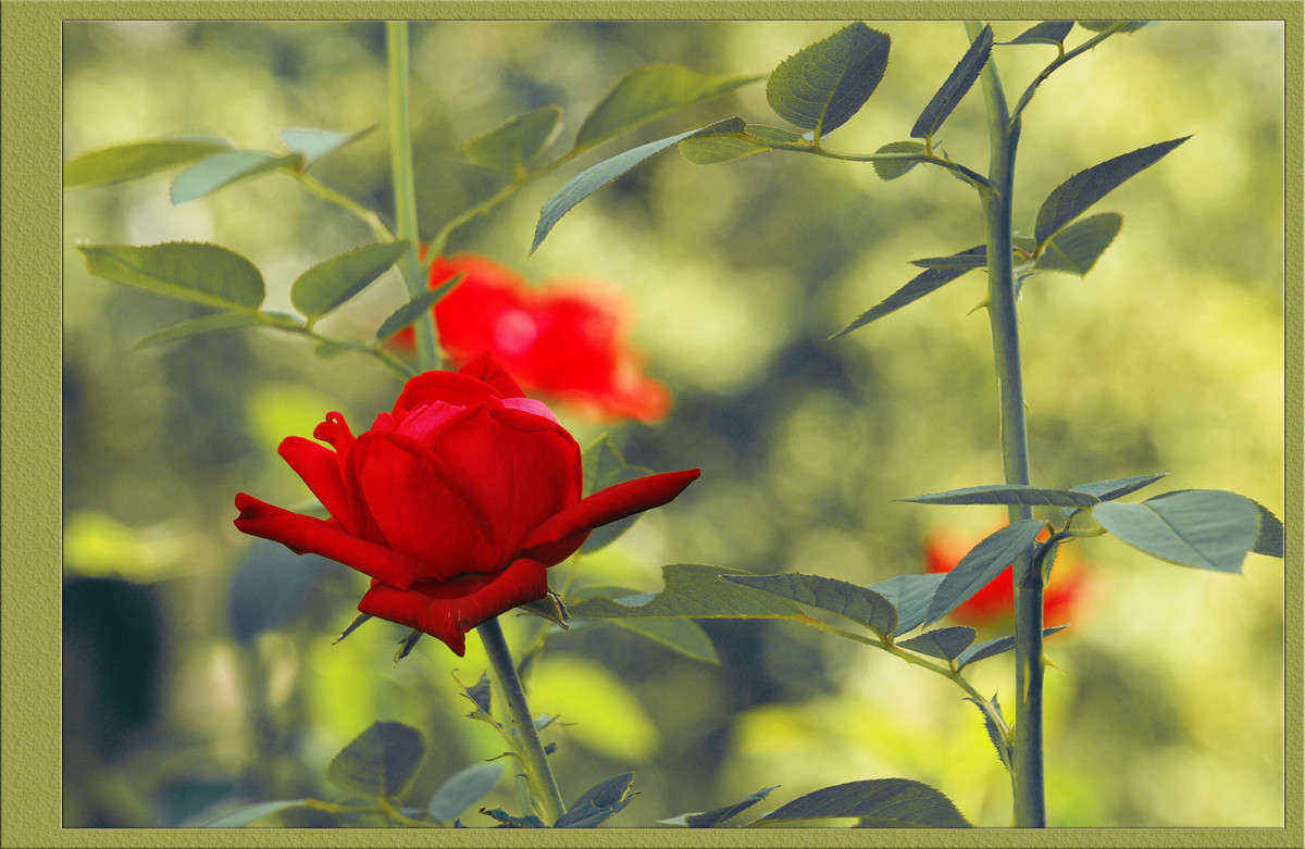 ������� �������� ����� ������  �� PhotoGeek.ru #������ ��� �������