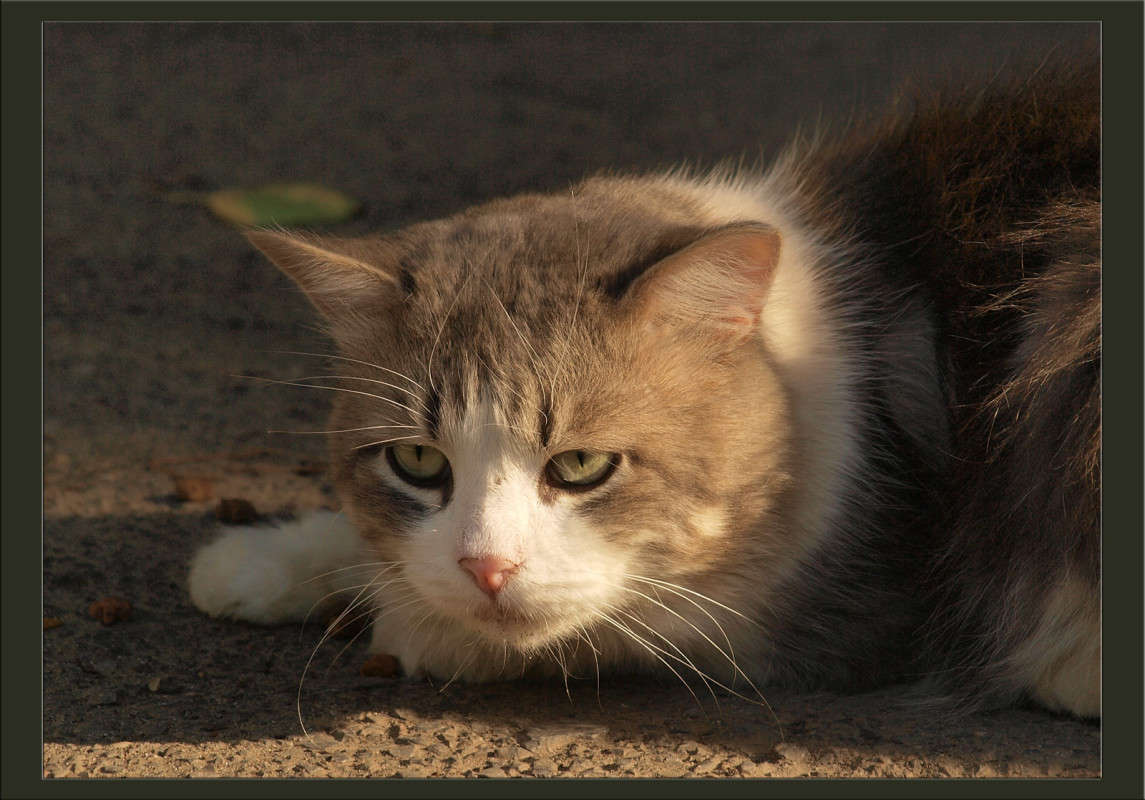 ������ �23 ����� ������  �� PhotoGeek.ru #�������� ���