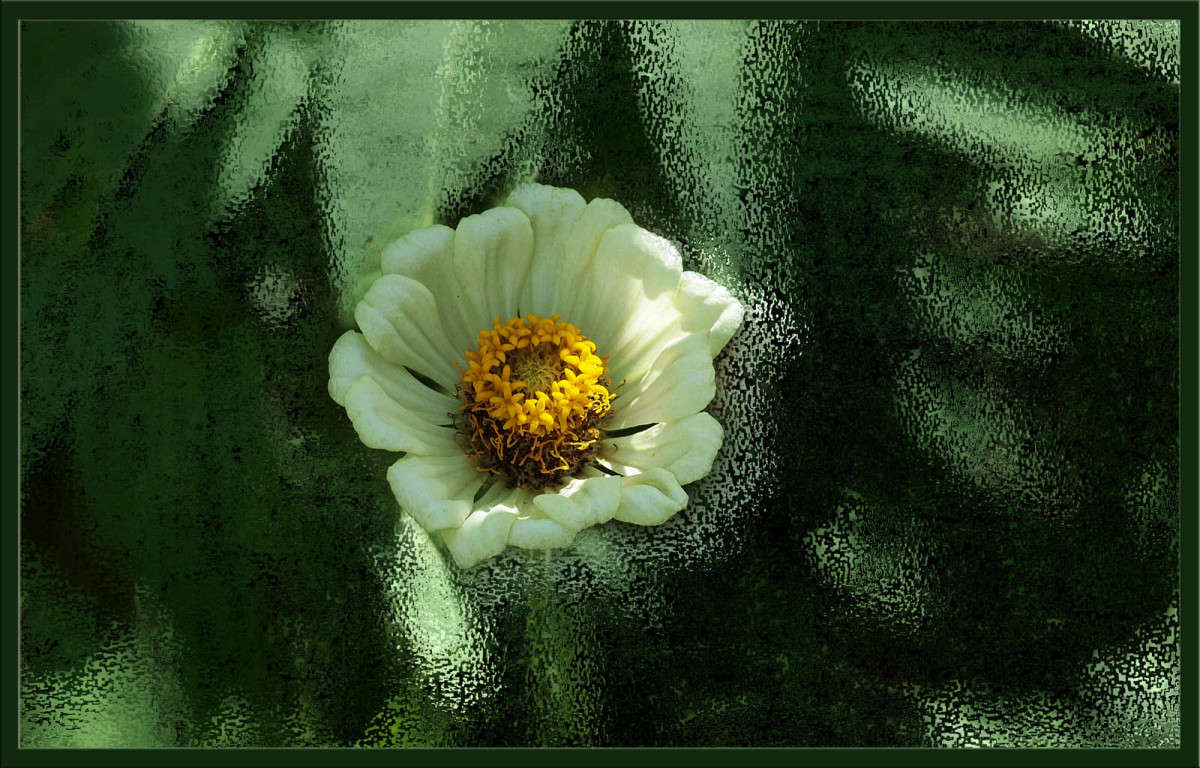 ��� �� ��� ����� ������  �� PhotoGeek.ru #������ ��� �������