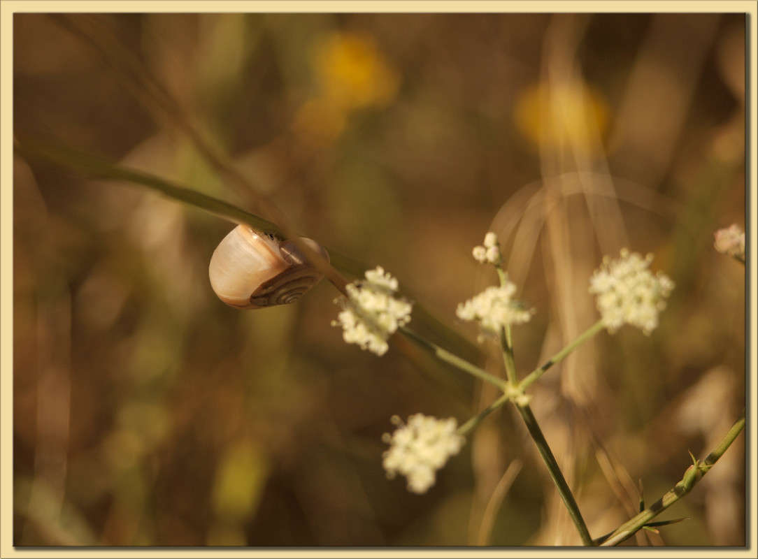 ��������� ���� 12 ����� ������  �� PhotoGeek.ru #������ ��� �������