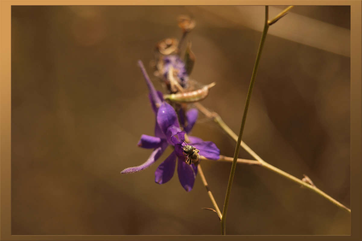 �������� ������� ����� ������  �� PhotoGeek.ru #������ ��� �������