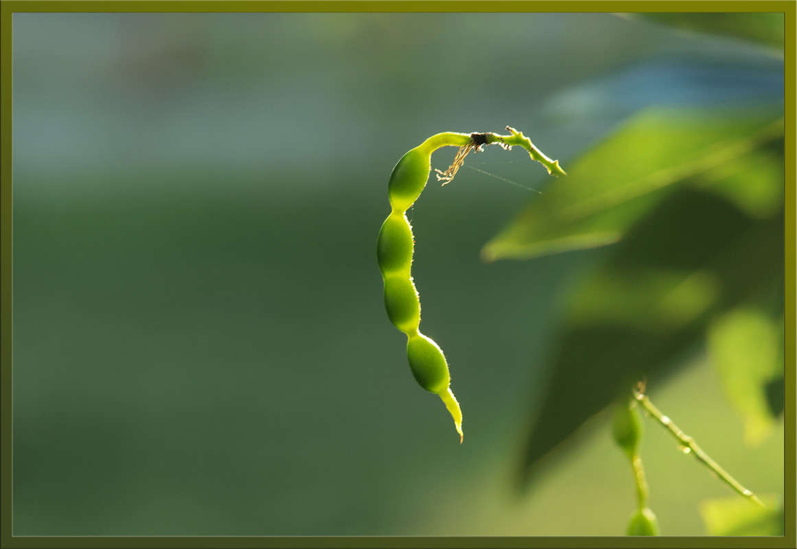 ����� ���������� ����� ������  �� PhotoGeek.ru #������ ��� �������