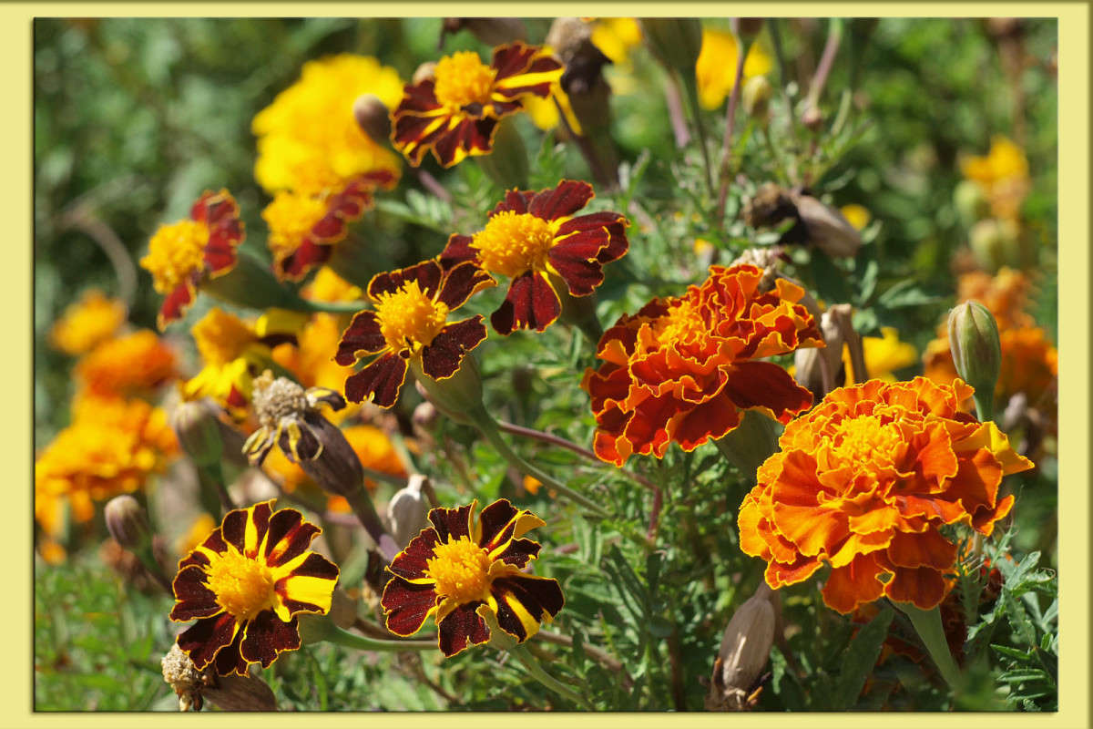 ��������� ���� 14 ����� ������  �� PhotoGeek.ru #������ ��� �������