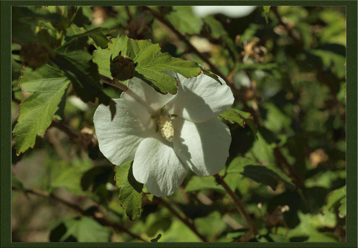 ��������� ���� 13 ����� ������  �� PhotoGeek.ru #������ ��� �������