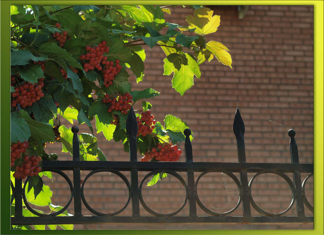 ���� ������ ��� ����� ������  �� PhotoGeek.ru #�����