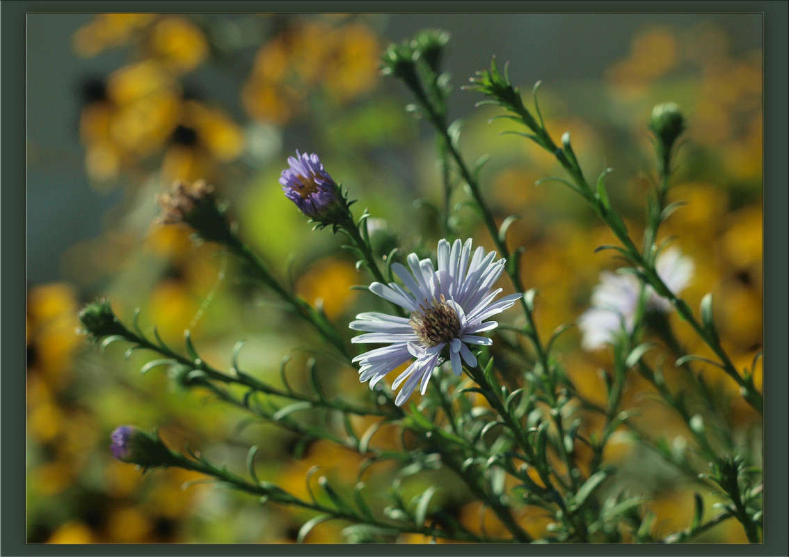 ��������� ���� 15 ����� ������  �� PhotoGeek.ru #������ ��� �������