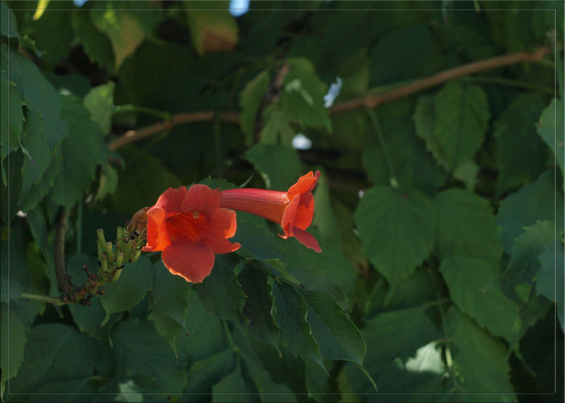 � ������� ����� ����� ������  �� PhotoGeek.ru #������ ��� �������