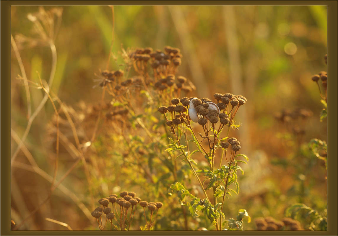 ����� � ������������� ����� ������  �� PhotoGeek.ru #������ ��� �������