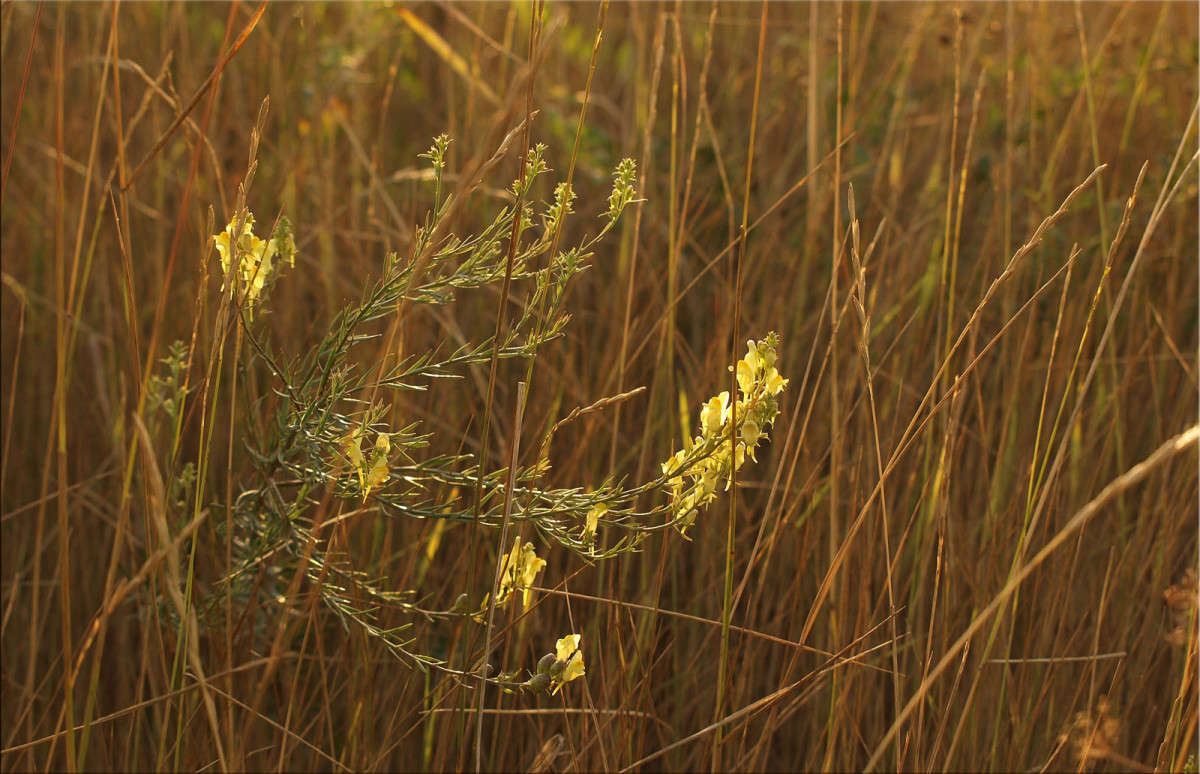 � ������ ����� ����� ������  �� PhotoGeek.ru #������ ��� �������