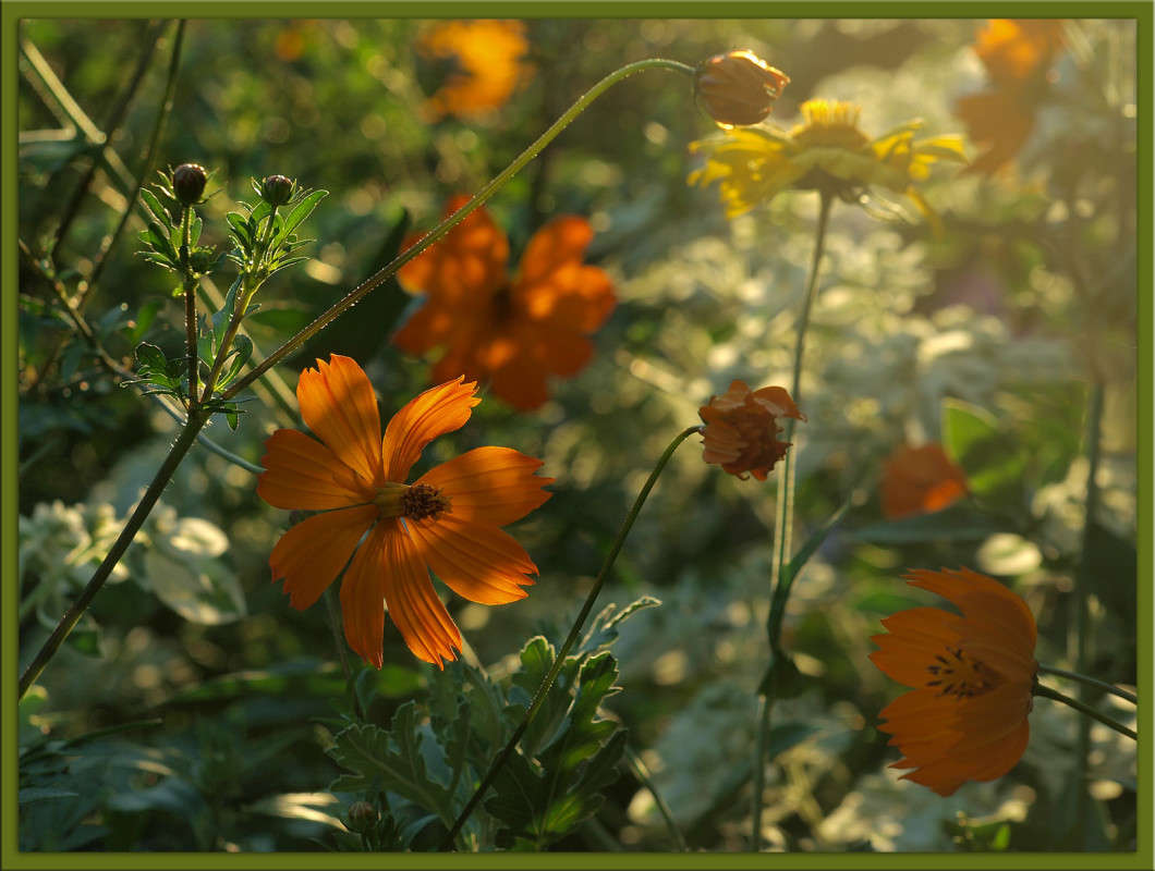 ������ ����� ����� ������  �� PhotoGeek.ru #������ ��� �������