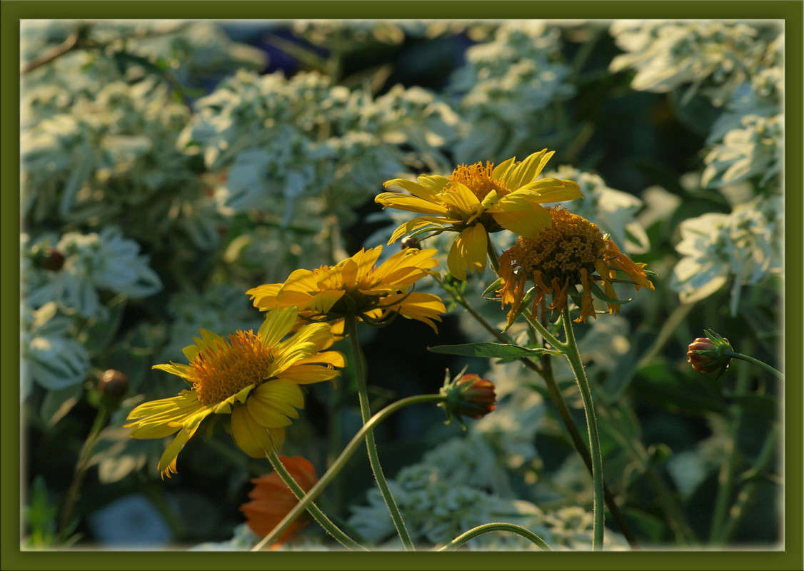 ������ ����� 2 ����� ������  �� PhotoGeek.ru #������ ��� �������