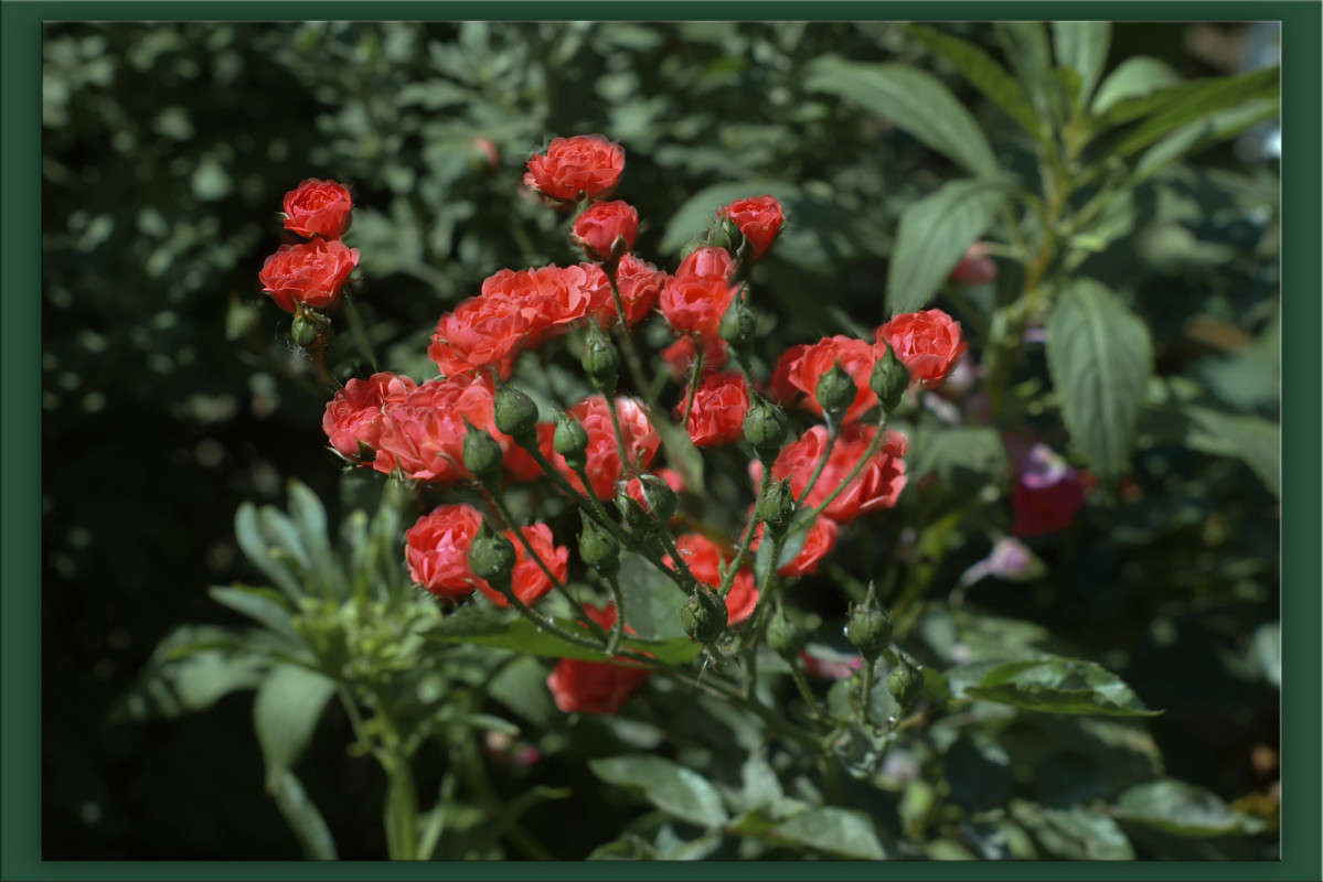 ����� � �������� ����� ������  �� PhotoGeek.ru #������ ��� �������