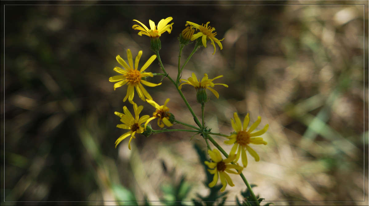 ���� ���� �������� ����� ������  �� PhotoGeek.ru #������ ��� �������