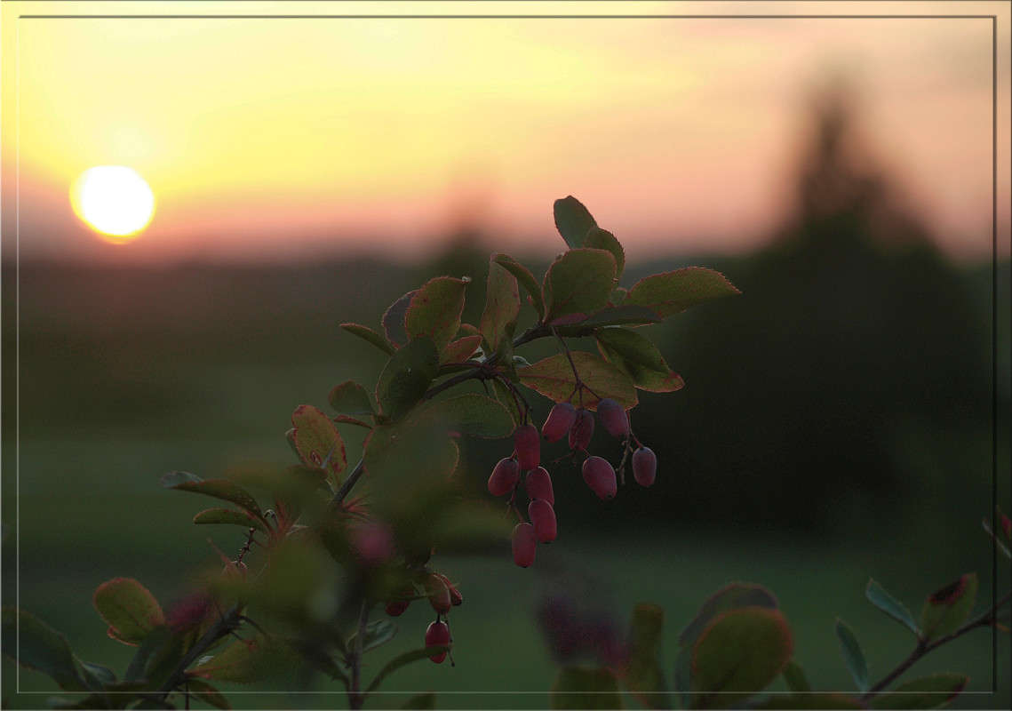 ���� � ��������� ����� ������  �� PhotoGeek.ru #������ ��� �������