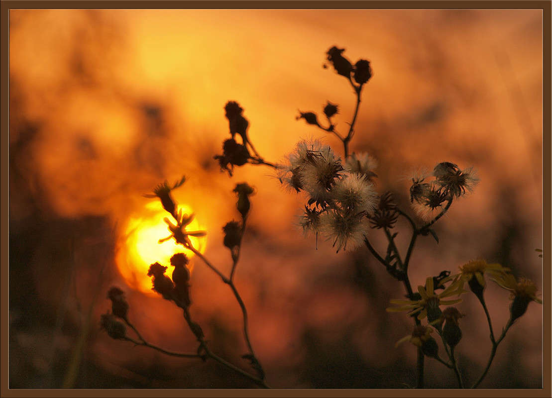 �� ������ 2 ����� ������  �� PhotoGeek.ru #������ ��� �������