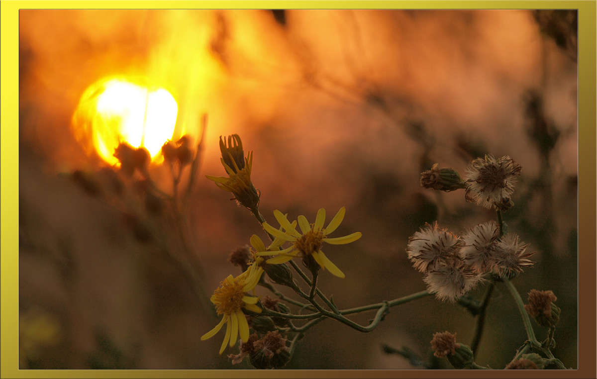 �� ������ ����� ������  �� PhotoGeek.ru #������ ��� �������