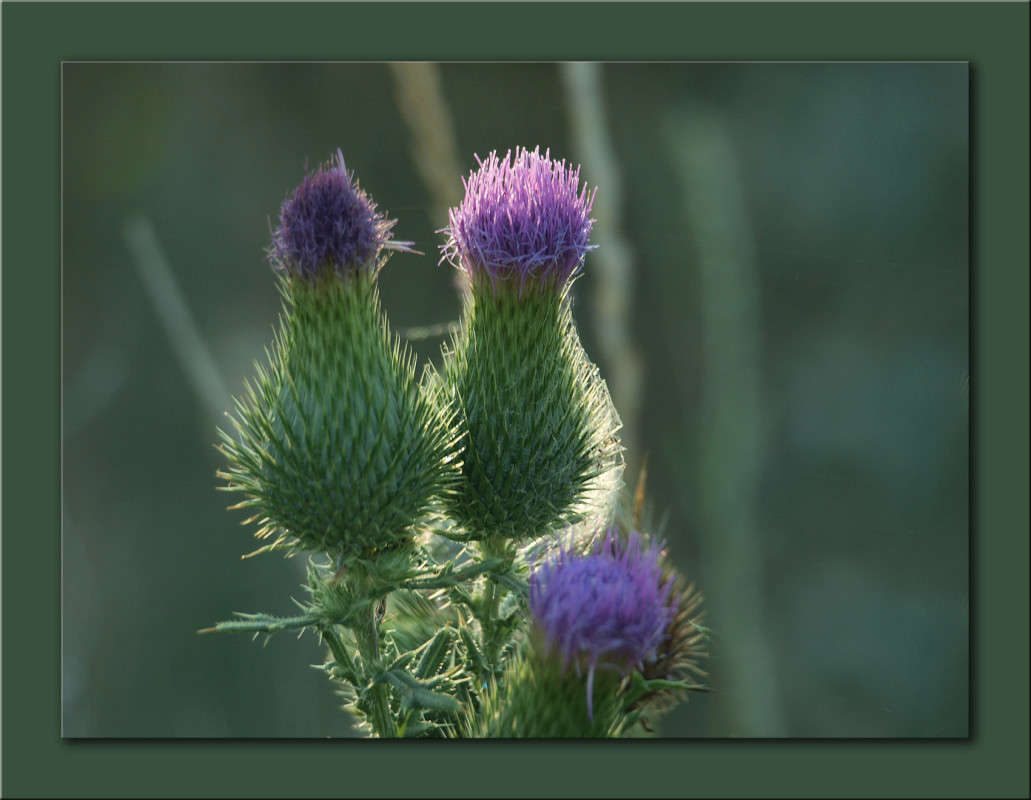 ������� ������ ����� ������  �� PhotoGeek.ru #������ ��� �������