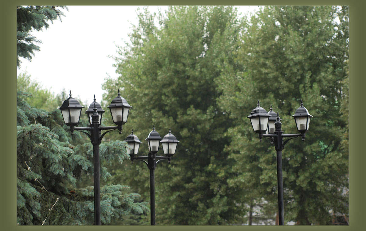 ������� ������ ����� ������  �� PhotoGeek.ru #�����