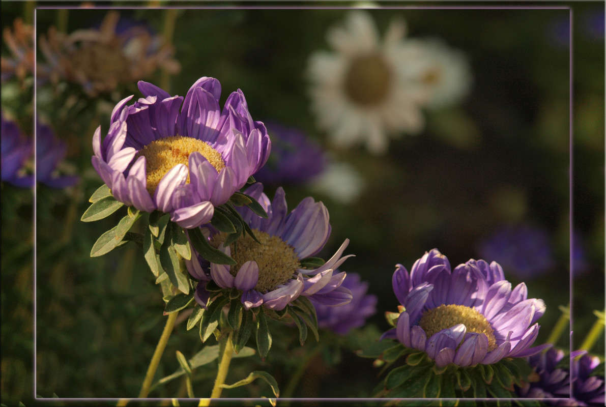 ��������� ���� ����� ����� ������  �� PhotoGeek.ru #������ ��� �������