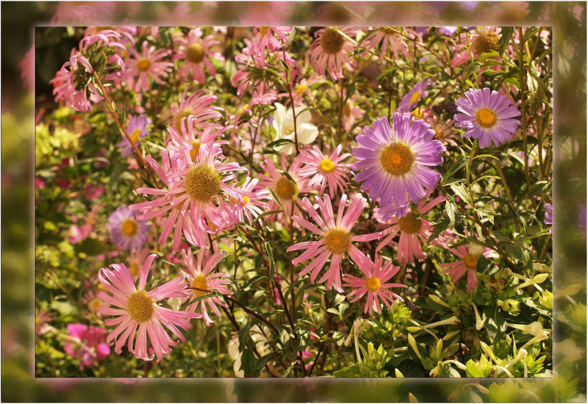 ��������� ���� ����� 4 ����� ������  �� PhotoGeek.ru #������ ��� �������