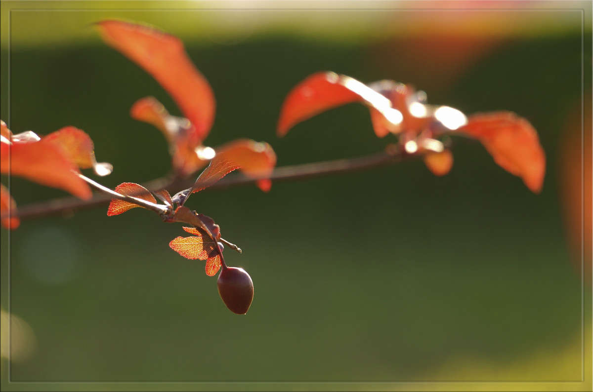 ���� ���������� ����� ������  �� PhotoGeek.ru #������ ��� �������