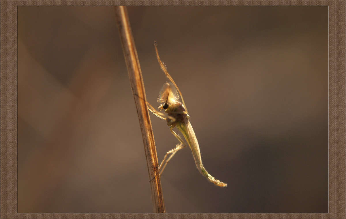 ��� �� ������� 5 ����� ������  �� PhotoGeek.ru #�����