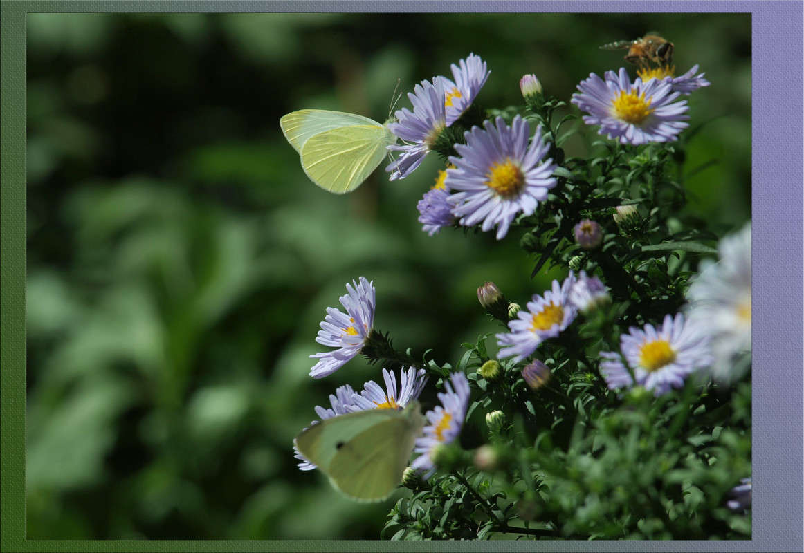 ��������� ������� ����� ������  �� PhotoGeek.ru #�����