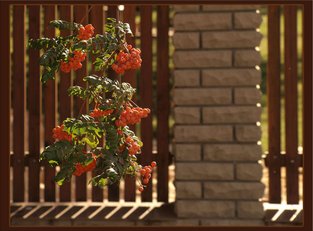 � ������ ����� ������  �� PhotoGeek.ru #�����