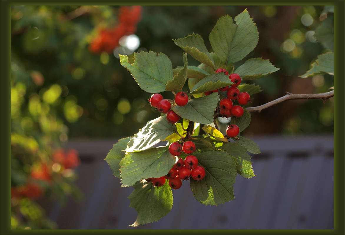 � ������ 2 ����� ������  �� PhotoGeek.ru #������ ��� �������