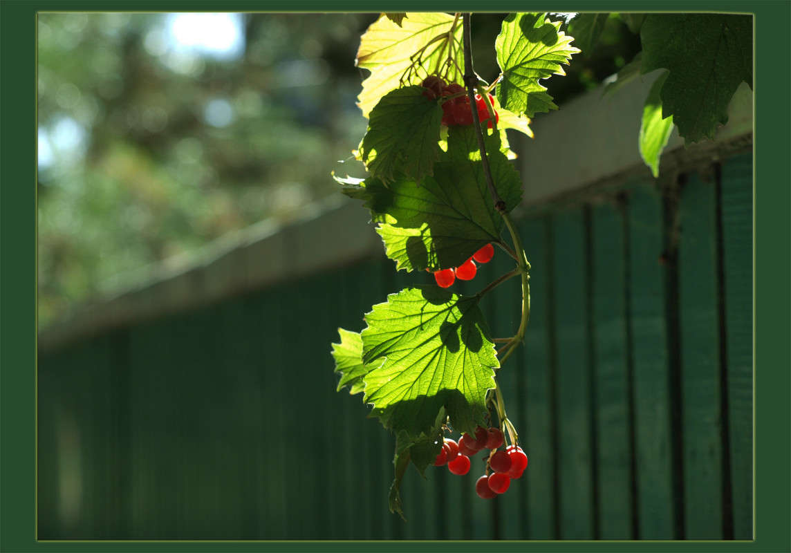 � ������ 3 ����� ������  �� PhotoGeek.ru #������ ��� �������